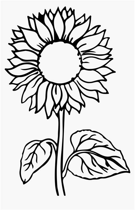Coloring Pages Free Sunflower Coloring Pages For Kids