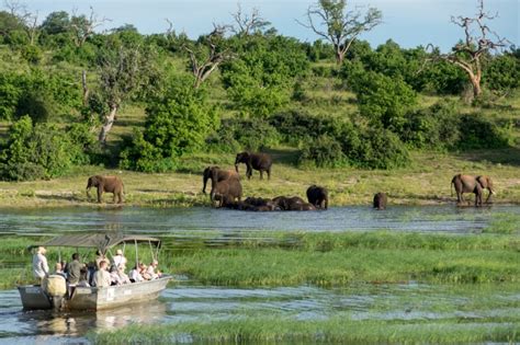 Best National Parks In Africa Best African Safari Countries