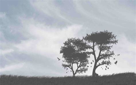Wallpaper Trees Landscape Birds Sky Artwork Clouds Branch Wind