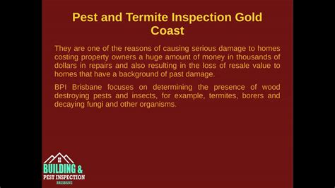 Brisbane building & pest inspection were really great to deal with. Reliable Building and Pest Inspection Services in Brisbane ...