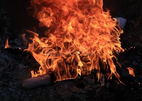 Bright Flame Of Wildfire Fire Stock Image Image Of Danger