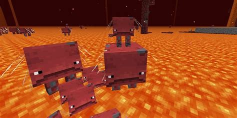 Top 7 Best Ridable Mobs In Minecraft Ranked And How To Get Them Guuvn