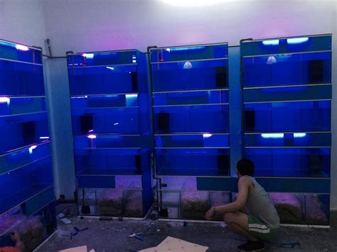 Import quality plastic fish tank supplied by experienced manufacturers at global sources. Fish Shop Tank | Malaysia Aquarium Stand Cabinet Manufacturer