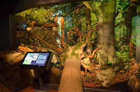 Das haus der natur ist die perfekte freizeitgestaltung für regnerische tage. HAUS DER NATUR | Salzburg mit Kind recommended by the ...