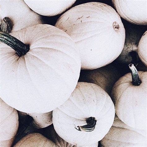 Aspyn Ovard On Instagram Cute Pumpkins For Fall The Accidental Exercise Video I Did With