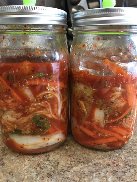 Kimchi Rfermentation