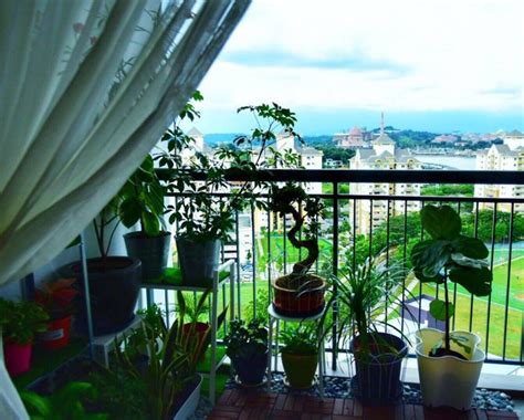 Inilah cara merawat kaktus mini yang baik dan benar. 12 Panduan Set Up Taman Mini Balkoni Rumah Tinggi, Wow ...