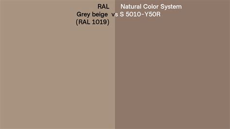RAL Grey Beige RAL 1019 Vs Natural Color System S 5010 Y50R Side By