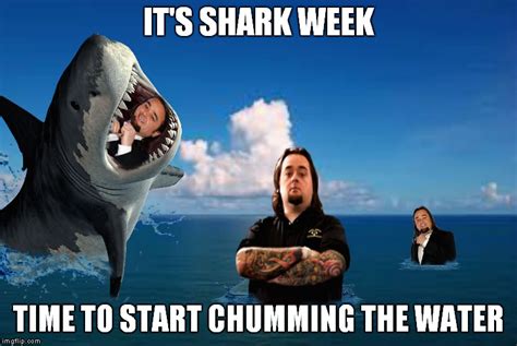 Shark Week A Raydog Event Imgflip
