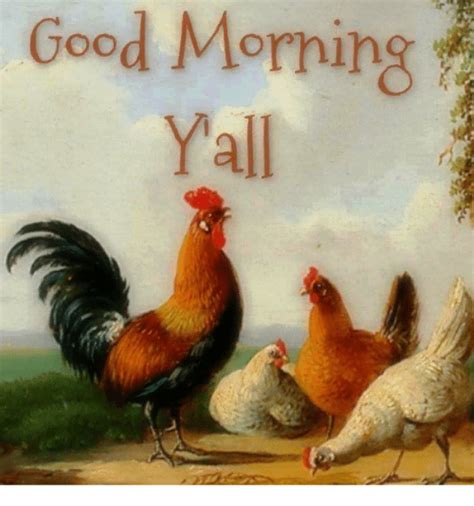 But y'all are so sweet! 35 Good Morning Rooster Pictures