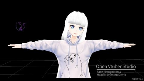 Open Vtuber Studio Face Recognition And Head Movement Demo Youtube