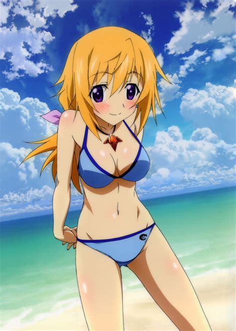 Charlotte Dunois Infinite Stratos Absurdres Highres Official Art 10s 1girl Blonde Hair