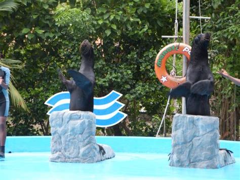 Descubre la cultura, naturaleza, fauna y vegetaciûn de la rep˙blica dominicana. Book Now