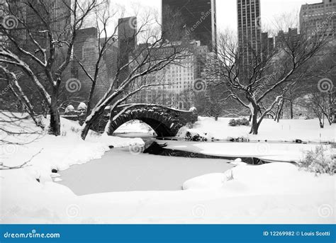 Orizzonte E Central Park Di New York Dopo La Tempesta Della Neve