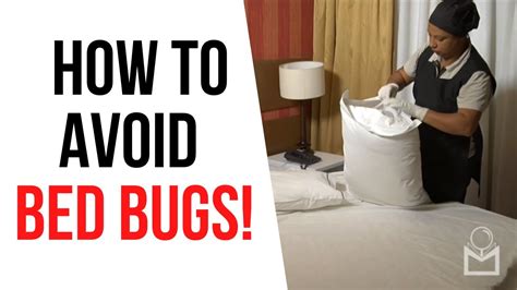 How To Check A Hotel For Bed Bugs Instructions To Prevent And Inspect