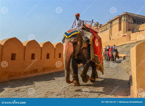 Riding Decorated Elephant From Amber Fort Editorial Photography Image