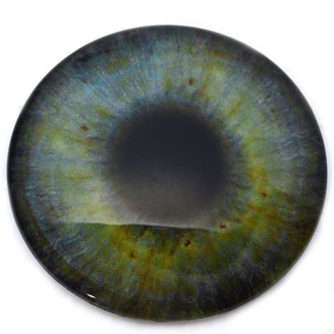Large 78mm Realistic Green Human Glass Eyes Handmade Glass Eyes