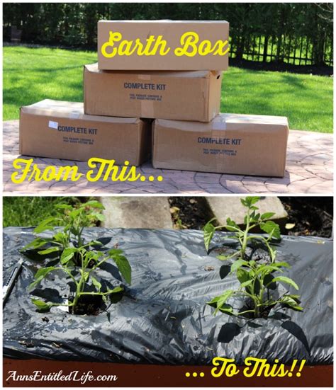 Earth Box Set Up