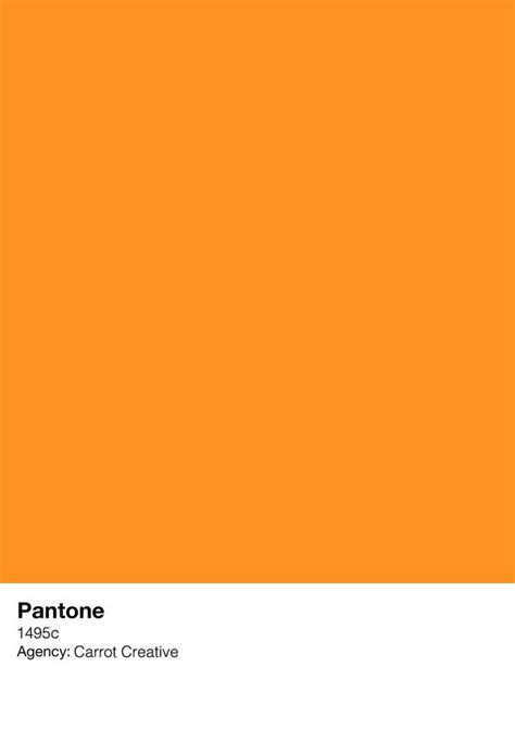 Carrot Creative Orange Pantone Concept Via Max Davies