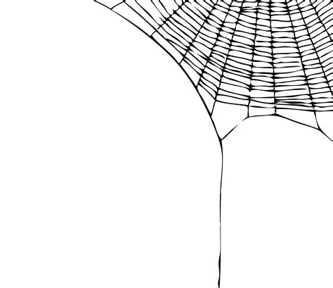 Spider Web Transparent PNG All