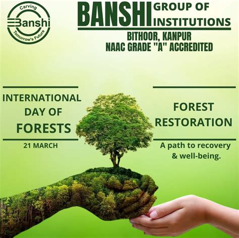 The Forest Is A Peculiar Banshi Group Of Institutions Facebook
