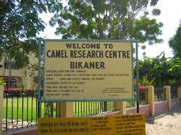 Questions & answers for national research centre on camel. National Research Centre On Camel, Bikaner