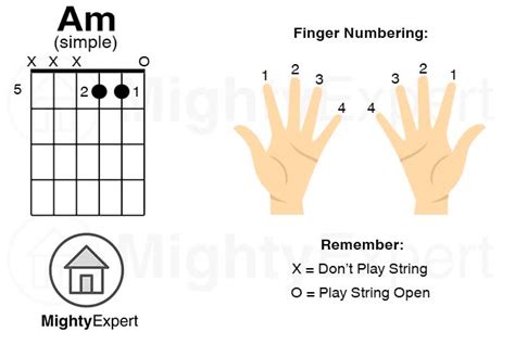 How To Play A Minor Am Chord On Guitar Finger Positions