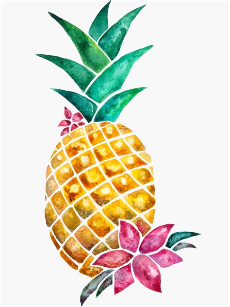 Watercolor Pineapples With Flowers Sticker For Sale By Liliiapolos