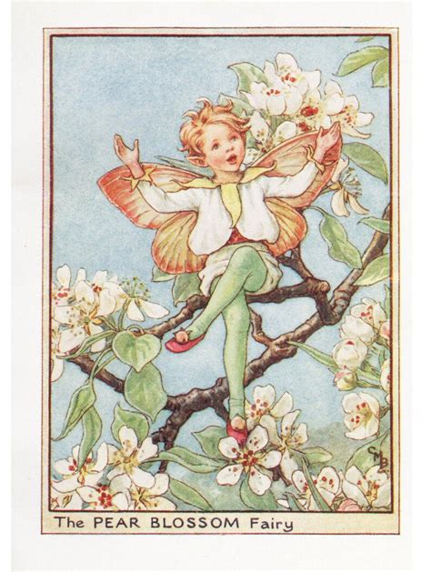 Flower Fairies The Pear Blossom Fairy Vintage Print C1930 By Etsy