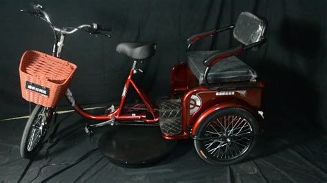 China Cheap Electric Tricycle 48v 250w 2 Seats 3 Wheel Electric