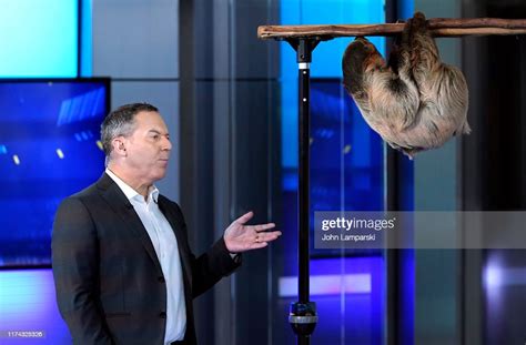 Fox Cohost Of The Five Greg Gutfeld Welcomes Columbus Zoo For News