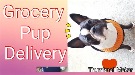 Your shopping desire and wallet are in battle now? Grocery Pup Fresh Homemade Dog Food Delivery Coupon Code ...