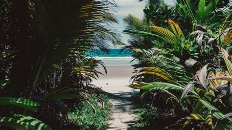 Maldives Beach Tropical Sea Sand Palm Trees Island 4k Hd Wallpaper