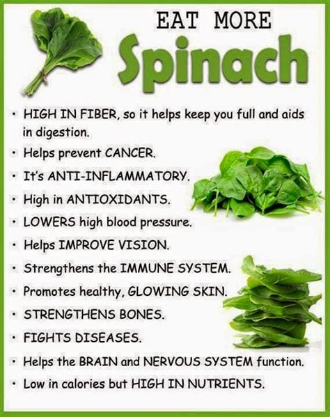 The Health Benefits Of Spinach Health Tips For Healthy Liffe Style