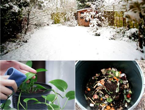 Winter Gardening Dont Forget To Do This