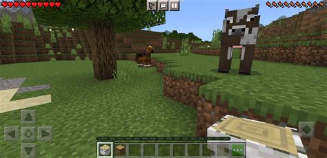 Descargar Minecraft Pocket Edition 021 Android Apk Gratis