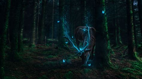 Mythical Forest Wallpaper Cave