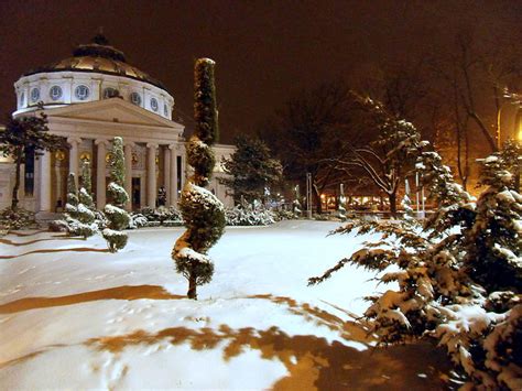 Romanian Athenaeum Romania Bucharest Winter Tree Monument Snow