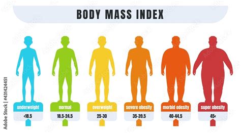 Man Bmi Body Mass Index Infographics For Male With Normal Weight And Obesity Fat And Skinny