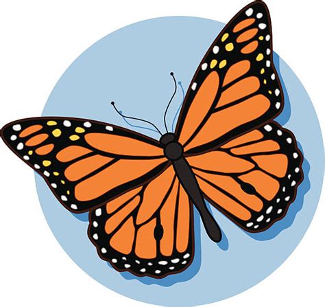Blue Monarch Butterfly Clipart Vector Monarch Butterfly Clipart Hot Porn Sex Picture