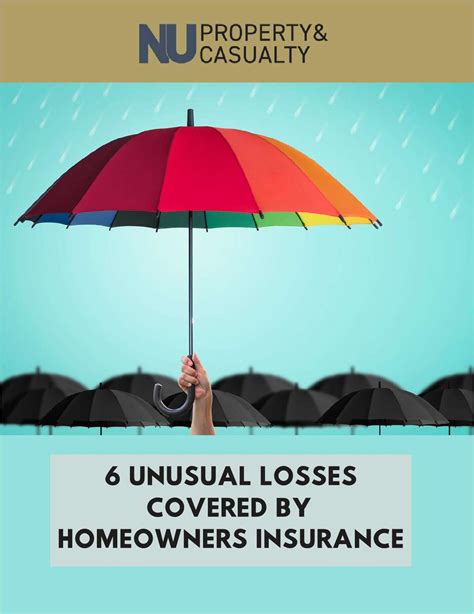 6 Unusual Losses Covered By Homeowners Insurance Free Article