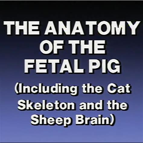 The Anatomy Of The Fetal Pig Digital Video Carolina Biological Supply