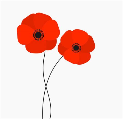 Cartoon Of The Red Poppy Illustrations Royalty Free Vector Graphics
