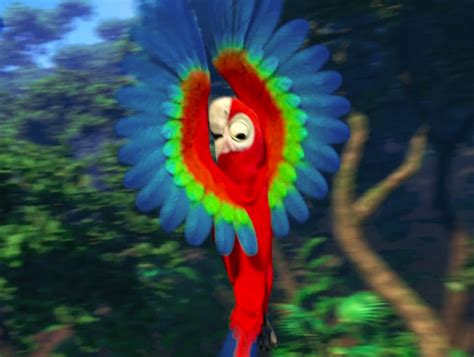 Image Mainpage Navmap Thumb Red And Green Macaw Rio Wiki