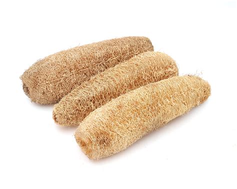 3 Packs Natural Loofah Exfoliating Bath Body Shower Sponge 10