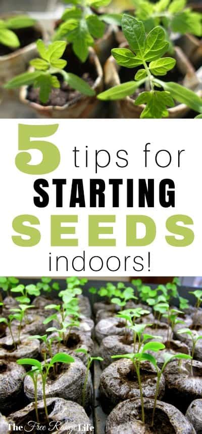 Water quality can be a problem in hydroponic systems. 5 Tips for Starting Seeds Successfully Indoors