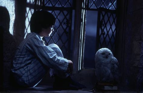 Philosophers Stone Harry Potter Photo 22900716 Fanpop