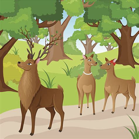 Funny Deer Hunting Cartoons Illustrations Royalty Free Vector Graphics
