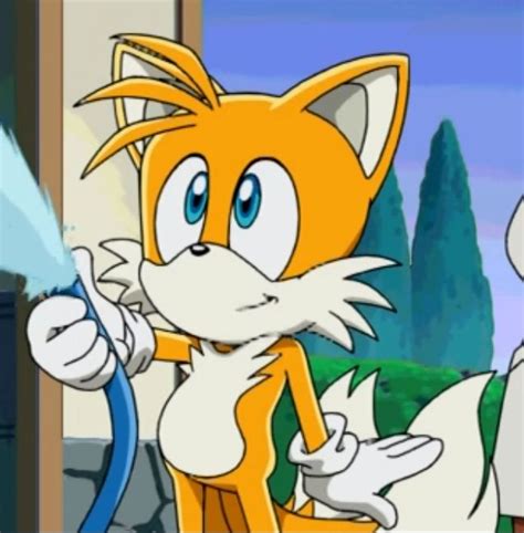Tails Sonic X Sonic Hedgehog Art Tails Sonic The Hedgehog