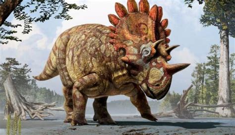 Descubren Nueva Especie De Dinosaurio De 70 Millones De Años 0506